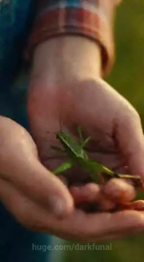 Older man and young boy on couch, man telling a story about catching and roasting bugs as a child.