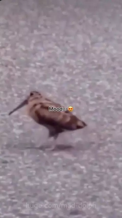 Mood when Huge payments comes in 😂🤣 by mad-dolph