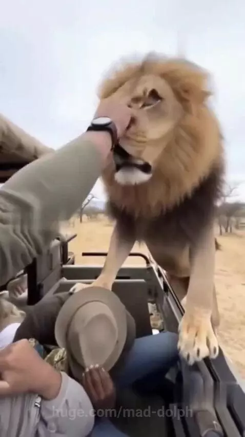 I don't know what to believe anymore 😭😅 by mad-dolph