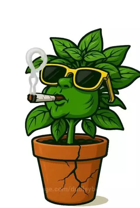 Dudley Buds - House Mate - Basil the Pot smoking Basil plant by dudleybud