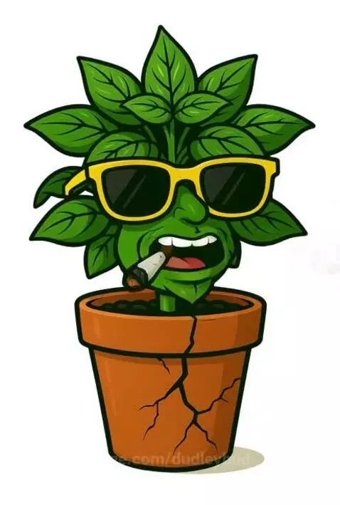 Basil - were my Blinky Balm At by dudleybud