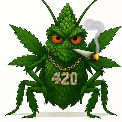 Good Morning from - Dudley-Bud by dudleybud