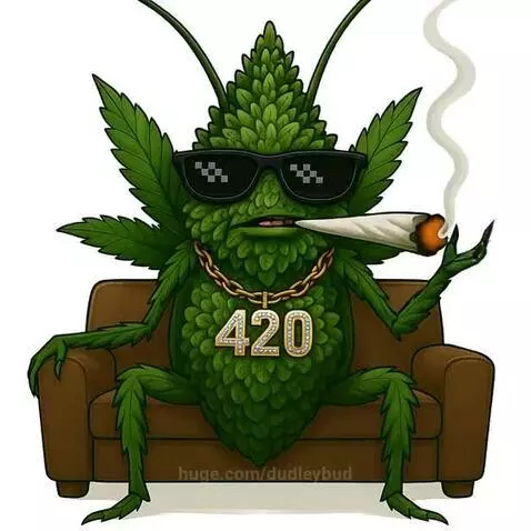 Shit Talking Roach - is at it again by dudleybud