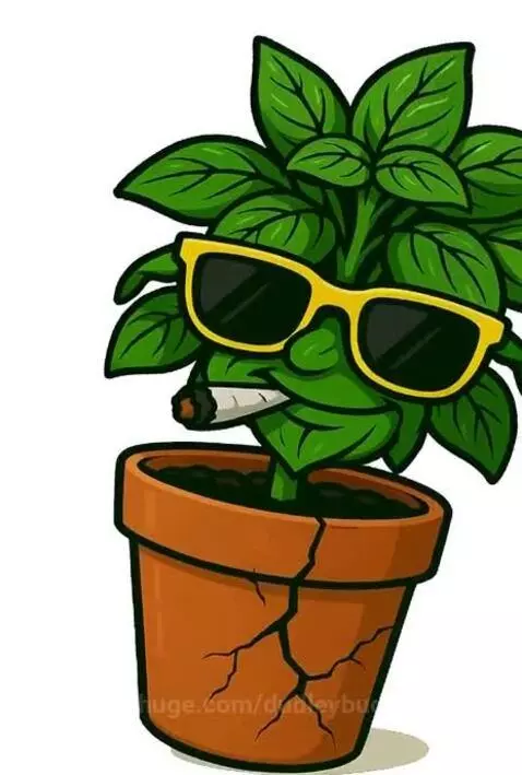 Too lit to quit by dudleybud