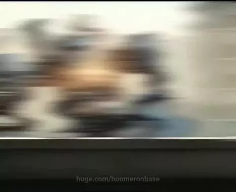 BoomerOnBase Productions 🎬 - 'Based Elnen' by boomeronbase