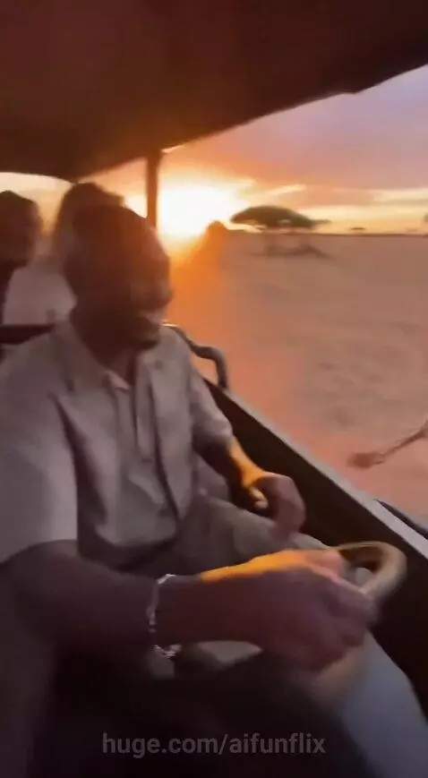 CAR VS OSTRICH by aifunflix