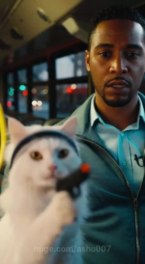 Do not Ask Fare to the Rambo Cat by ashu007