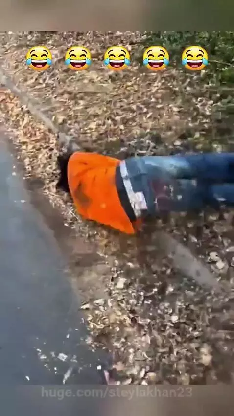 “Me Trying to Act Normal… Fails.😄 Funny by steylakhan23