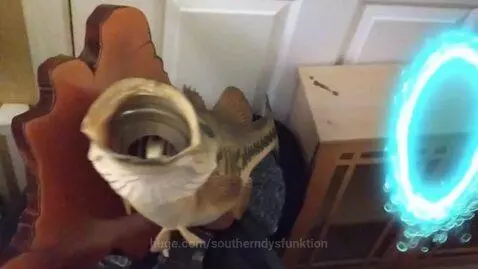 Escape into another dimension i by southerndysfunktion