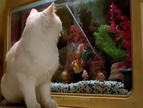 Пятый элемент и  Бодров! #Жаль нет этого человека с нами. by devgeeit