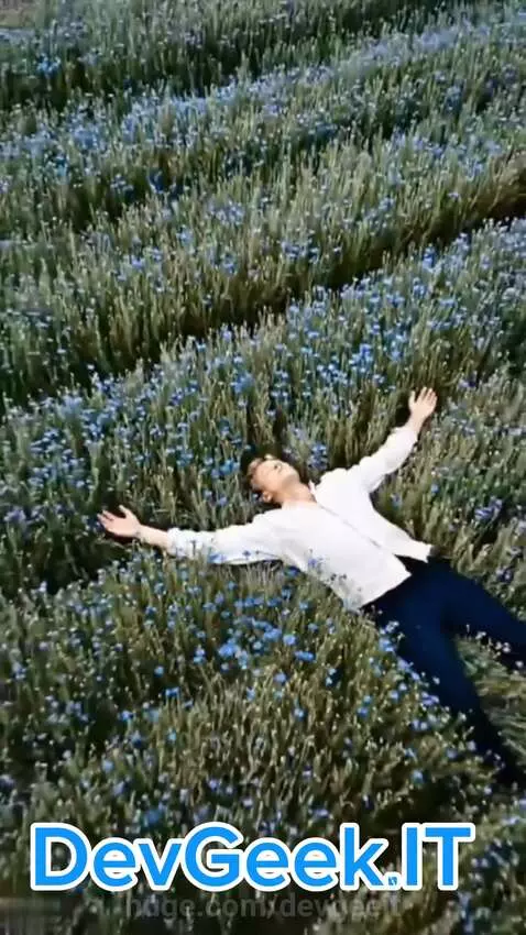 Сергей Есенин -Заметался пожар от DevGeek.IT by devgeeit