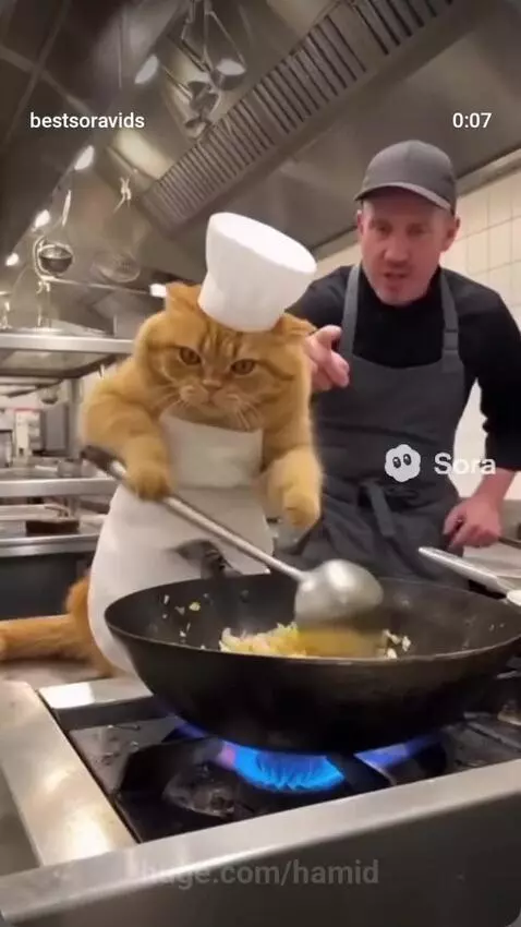 Cat Engry mod by hamid