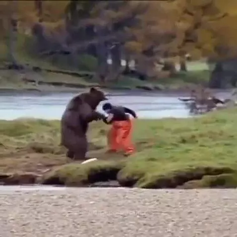 Person in orange overalls wrestling with a large brown bear on a grassy bank next to water.