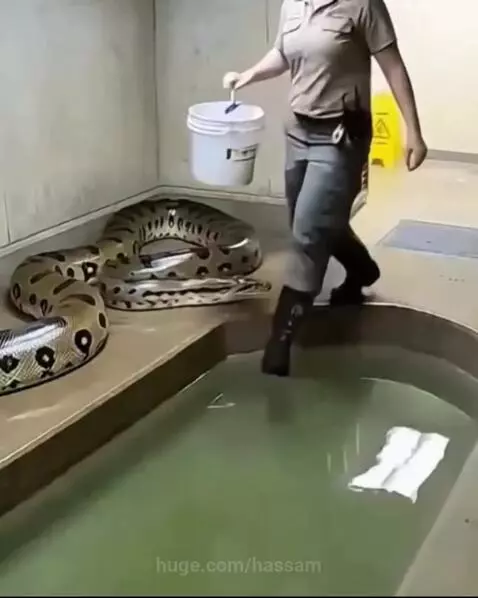 I was never afraid from Ocean by hassam