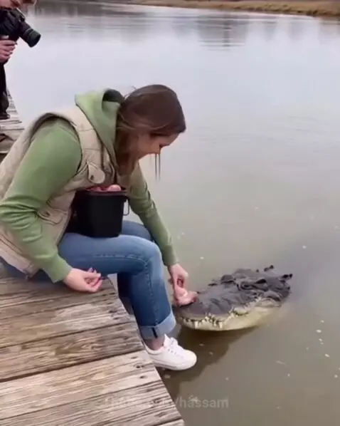 Never make friends of wild Animal by hassam