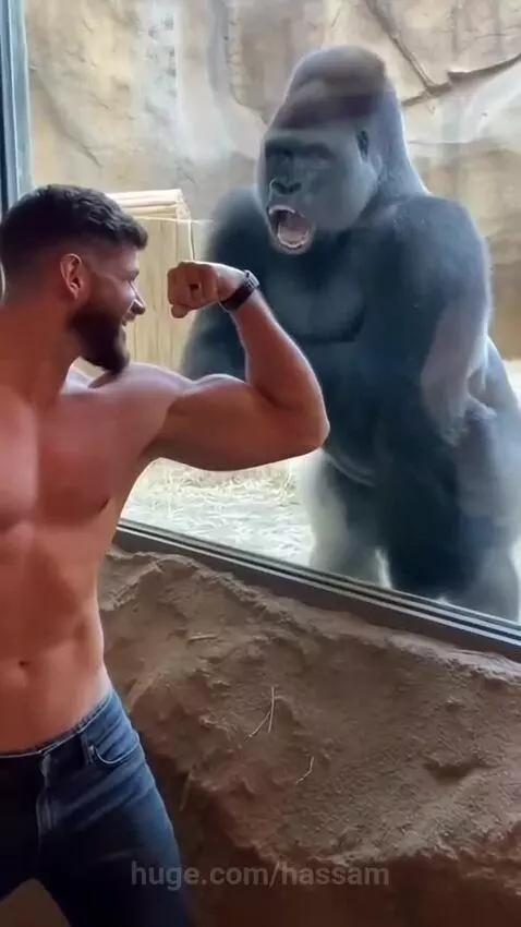 When you find your New gym bro in Zoo by hassam