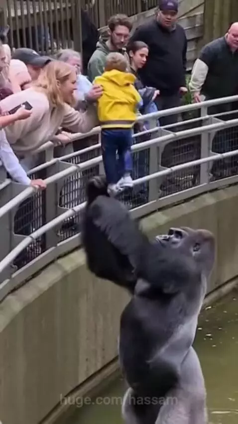 A Heart Touching scene Capture in the zoo by hassam