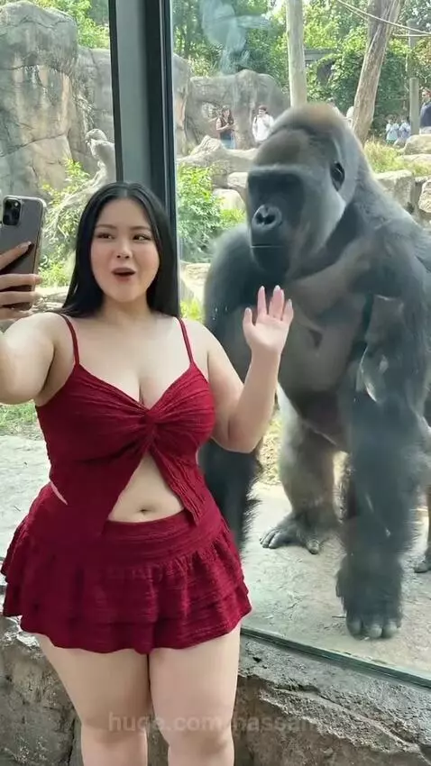 Gorilla 🦍 with Woman by hassam