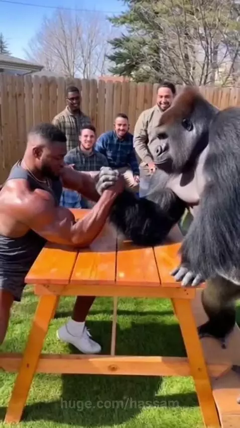 Gorilla open challenge 💪 by hassam