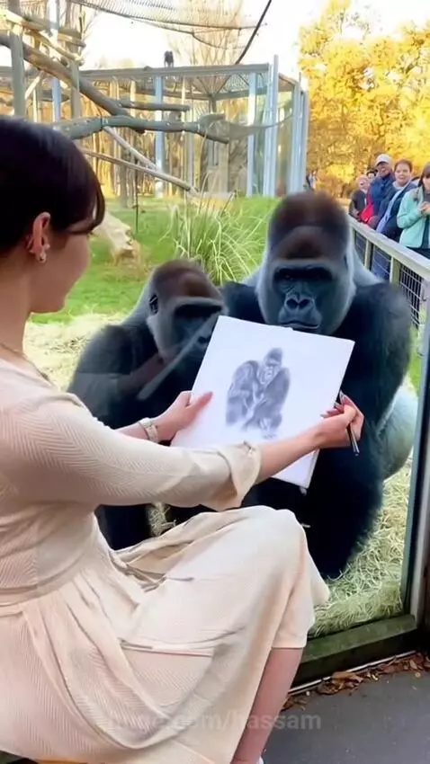 Girl drawing Gorilla painting 🎨 by hassam