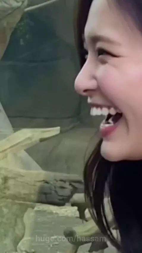 Gorilla behind glass enclosure making kissing faces at a woman in a purple dress at the zoo.