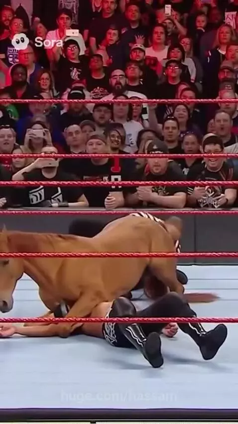 A brown horse jumping from a wrestling ring corner onto a male wrestler lying on the mat.