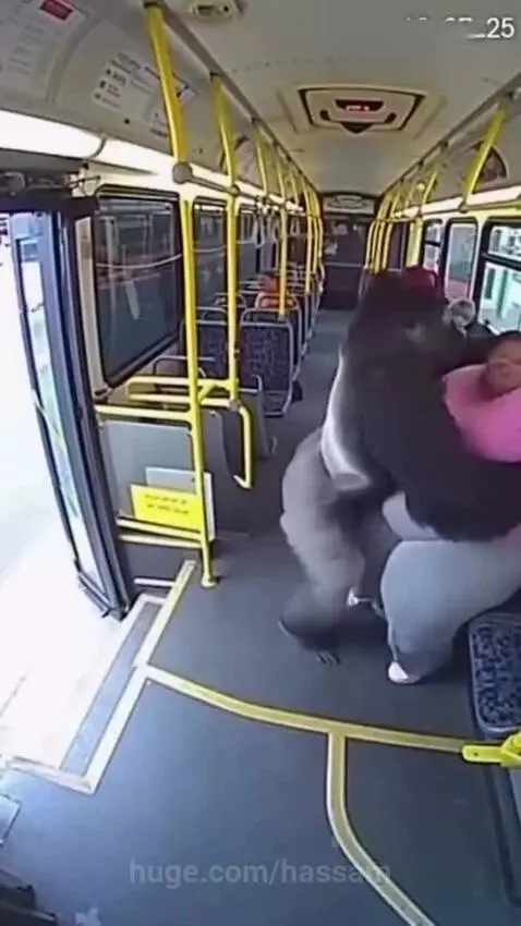 Gorilla attack on bus by hassam