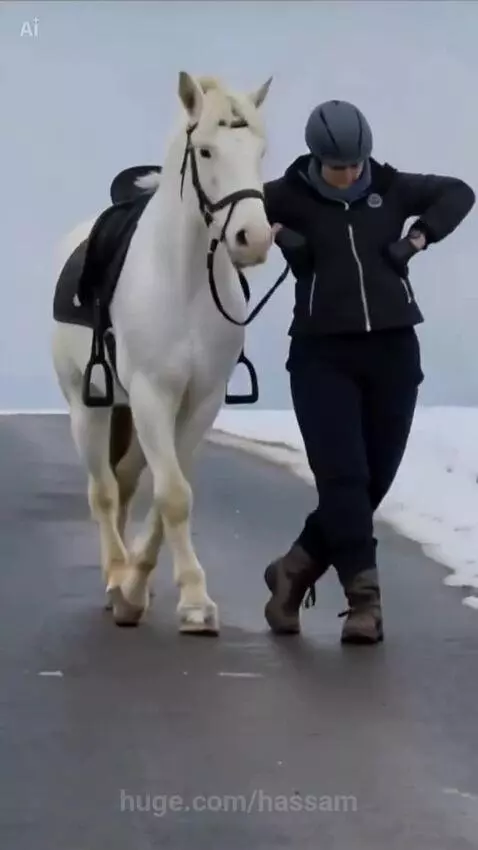 Person in riding gear dancing alongside a white horse on a wet, snowy road.