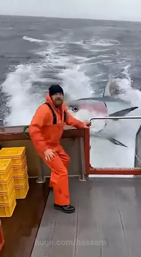 A large fish leaps from choppy water onto the deck of a fishing boat, knocking over a person in orange overalls.