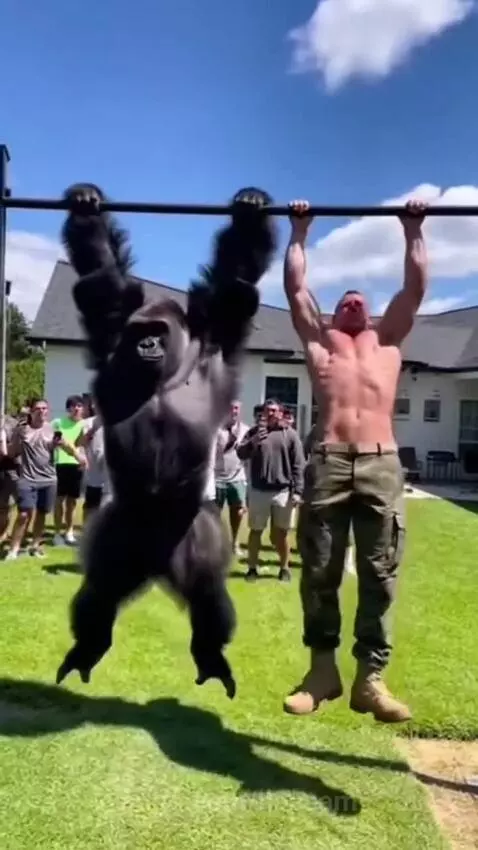 Shirtless man and person in gorilla suit doing pull-ups side-by-side in a backyard with a cheering crowd.