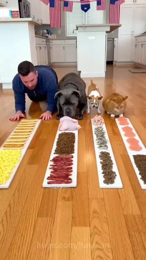 Who will win? by hassam