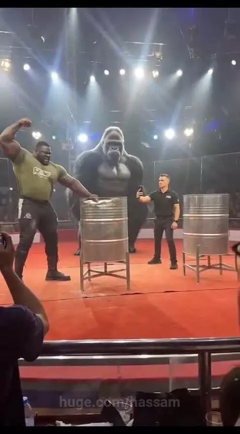 Strongman and gorilla in costume punching metal barrels on a spotlight-lit stage, audience cheering.