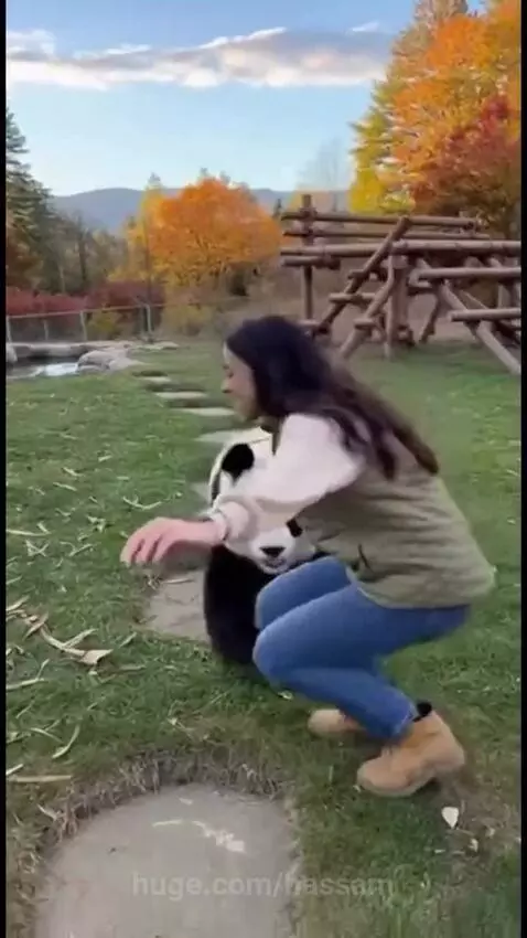 A man gently embraces a snow leopard, a woman hugs a panda, and a snowy owl lands on a man's hand.