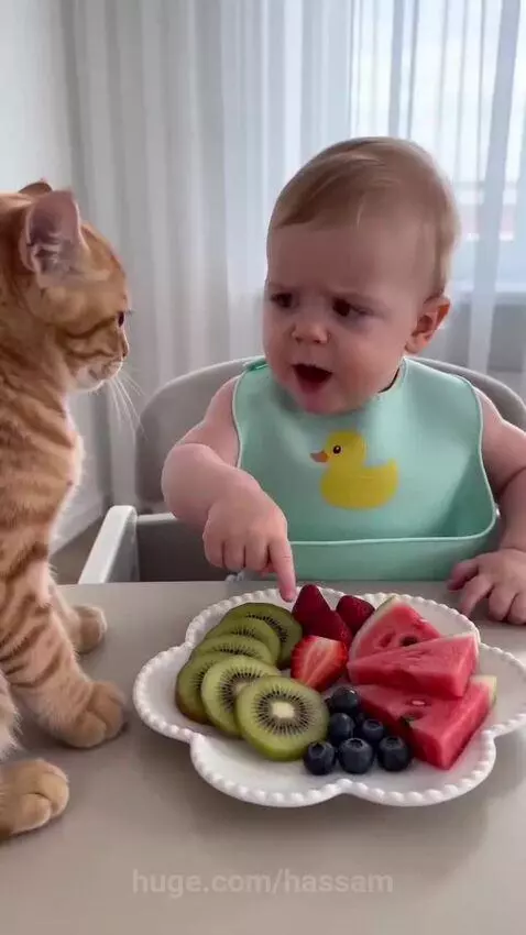 This is baby food by hassam