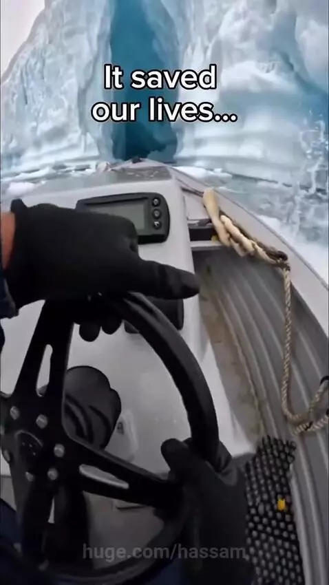 Person in a boat rescues a polar bear cub from a shark-like creature in icy Arctic waters.