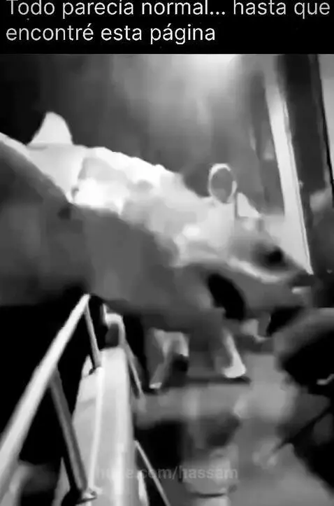 A large shark with its mouth open and teeth visible, struggling on the deck of a boat at night, surrounded by people in protective suits.