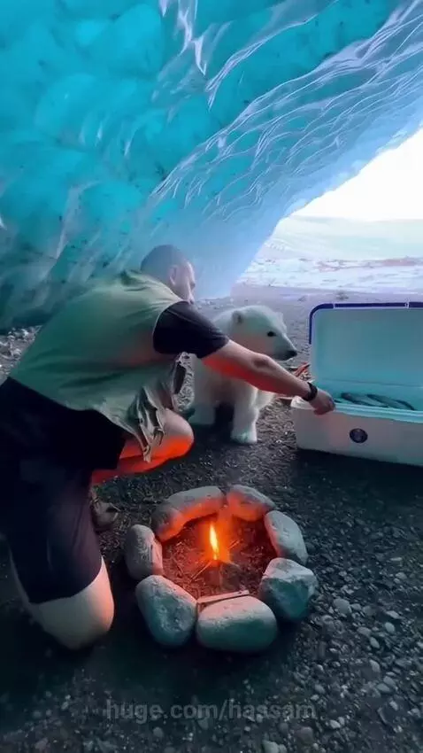 Man in a boat holding a polar bear cub, with an orca nearby.