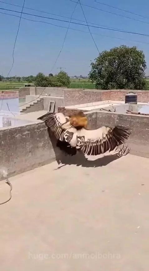 Bhagwan ka Chamatkar 🙏 by anmolbohra