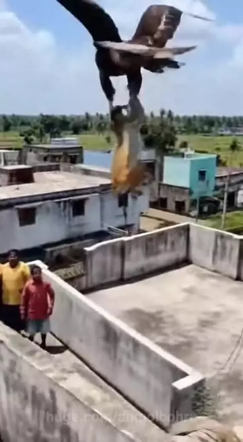 Bhagwan ka Chamatkar 🙏 by anmolbohra