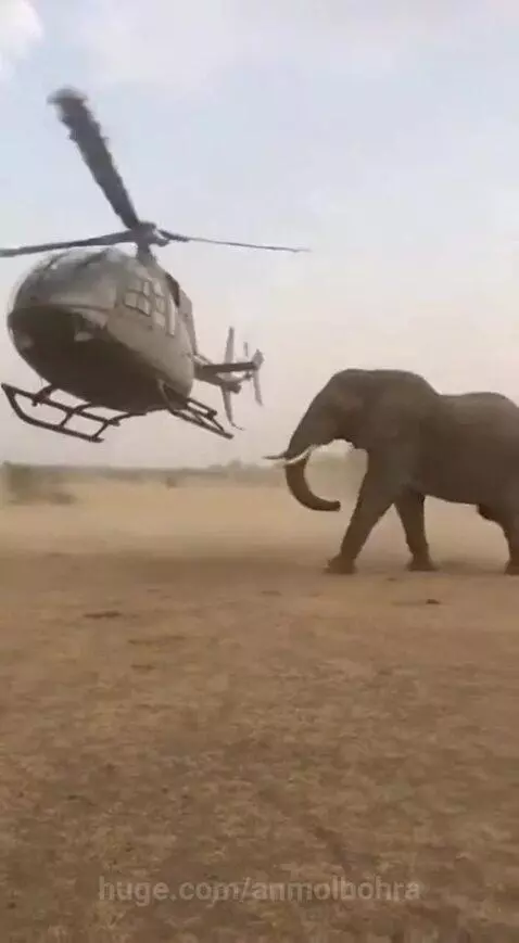 Bhagwan ka Chamatkar 🙏 by anmolbohra