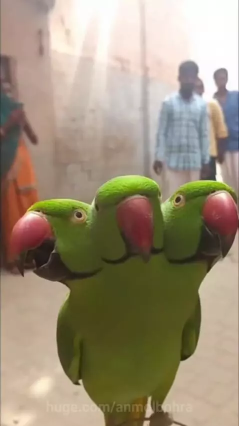 Bhagwan ka Chamatkar 🙏 by anmolbohra