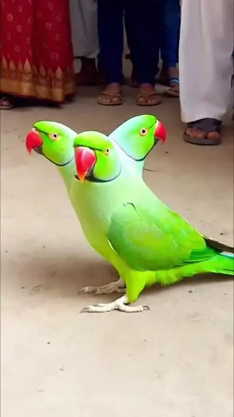 Bhagwan ka Chamatkar 🙏 by anmolbohra