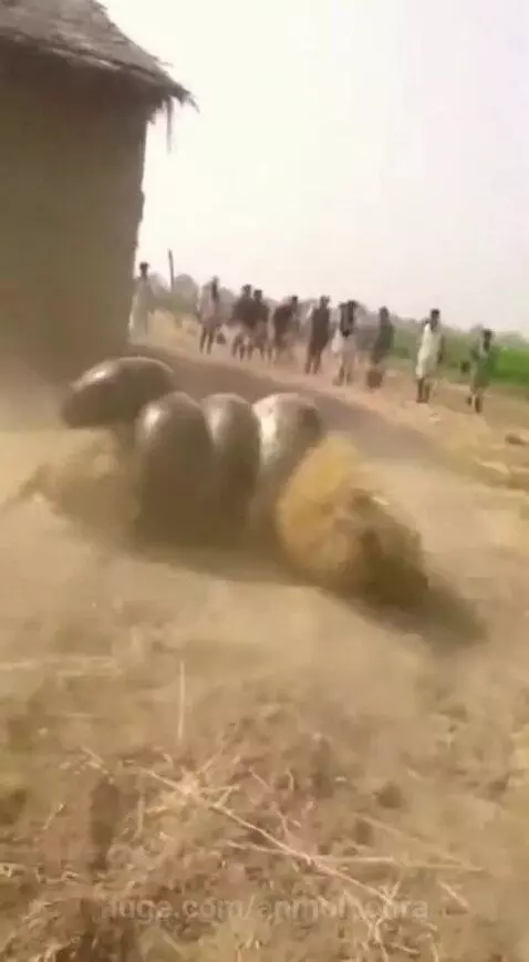 Bhagwan ka Chamatkar 🙏 by anmolbohra