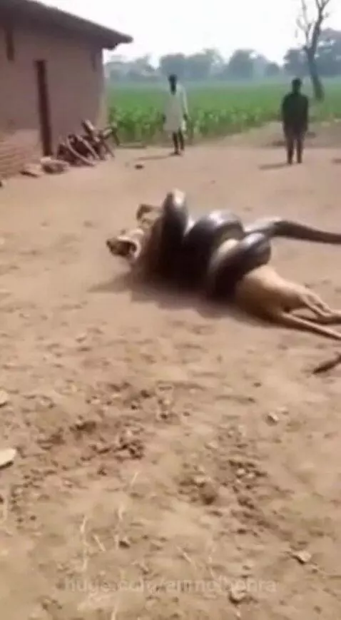 Bhagwan ka Chamatkar 🙏 by anmolbohra