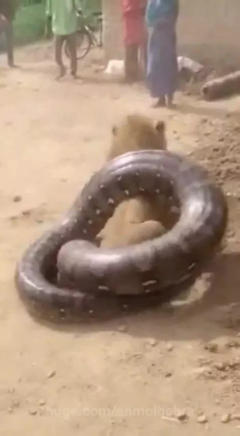 Bhagwan ka Chamatkar 🙏 by anmolbohra