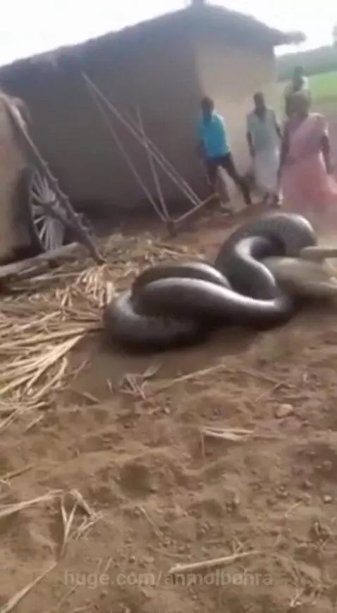 Bhagwan ka Chamatkar 🙏 by anmolbohra