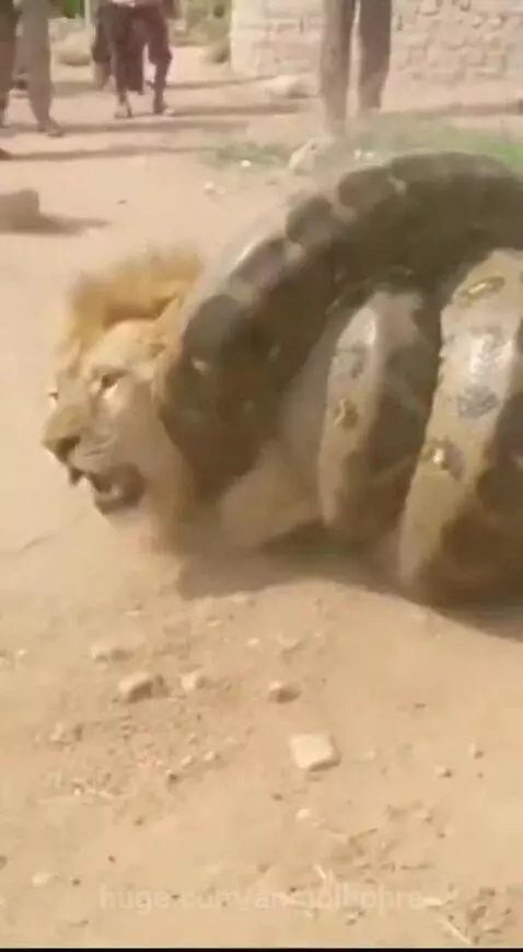 Bhagwan ka Chamatkar 🙏 by anmolbohra