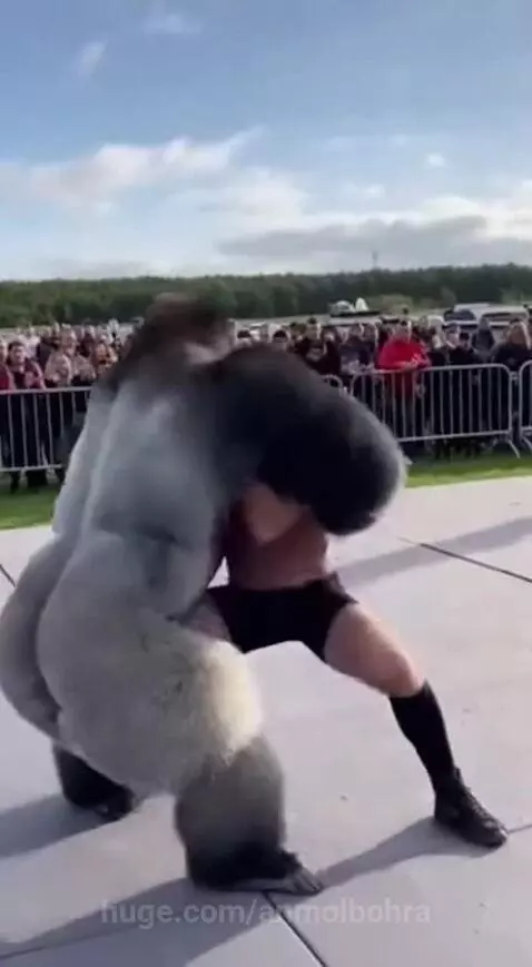 Dhurandhar Bandar 🐒🔥 by anmolbohra