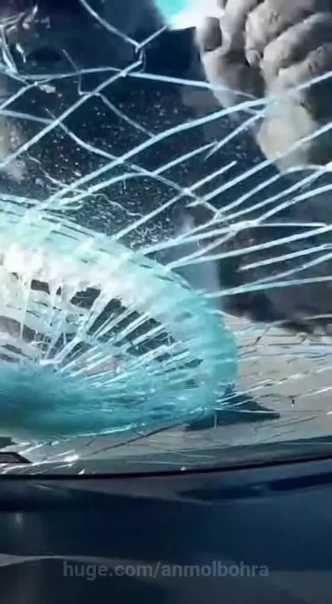 Dhurandhar Bandar 🐒🔥 by anmolbohra