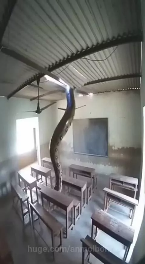 2026 ma duniya katam by anmolbohra